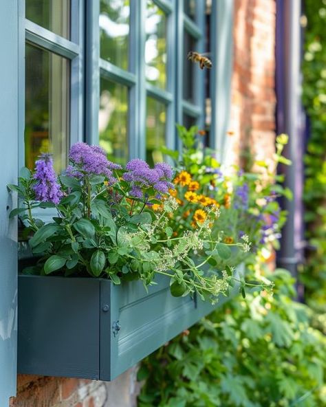 Sow these 10 herbs to turn your window box into a bee sanctuary Window Box Vegetable Garden, Lavender Window Boxes, Bee Sanctuary, Herb Window, Evergreen Herbs, Window Baskets, Window Box Plants, Window Boxes Diy, Herb Boxes