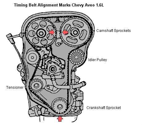 Chevy Aveo Timing Belt. CHANGING THE TIMING BELT Driving Basics, Aircraft Maintenance Engineer, Chevy Aveo, Mechanic Engineering, Chevy Motors, Automotive Illustration, Automobile Engineering, Automotive Mechanic, Engine Repair