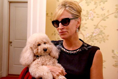 Sonja on Carole, Interns, and the Dangers of Social Media Rhony Quotes, Dangers Of Social Media, Hair Couler, Ramona Singer, Sonja Morgan, Zen Den, Model Behavior, Real Housewives Of New York, Mom Travel