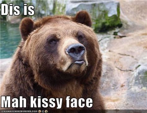 Dis is Mah kissy face Humor Mexicano, Petting Zoo, Belly Laughs, E Card, Funny Animal Pictures, Laughing So Hard, Zoo Animals, Bones Funny, Funny Cute