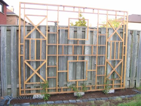 Outdoor Privacy Screen Ideas - Birdz of a Feather Building A Trellis, Diy Garden Trellis, Jardim Diy, Diy Trellis, Backyard Privacy, Garden Vines, Privacy Fences, Privacy Screen Outdoor, Outdoor Privacy