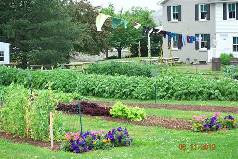 Beautiful  amish garden with the laundary drying on the line.  And look at the back of the garden there are so many picnic tables lined up in a row, Some celebration is happening here soon, or just has already~ Sarah's Country Kitchen ~ Amish Garden, Amish Home, Amish House, Plain People, Garden Inspo, The Barnyard, Picnic Tables, Outdoor Landscape, Outdoor Landscaping