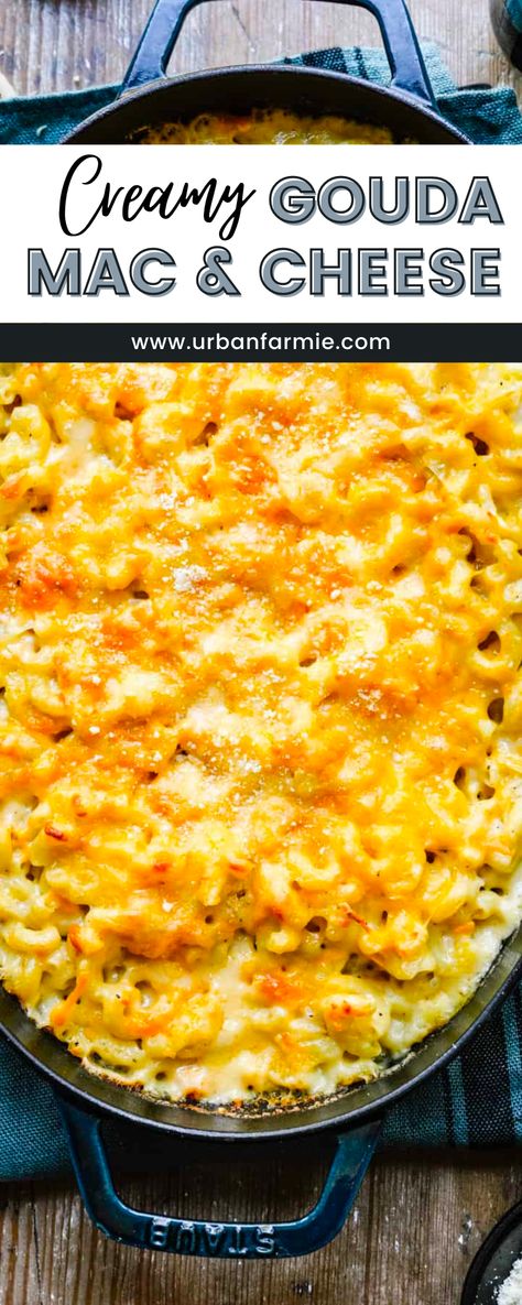 Gouda Sausage Recipe, Gouda Cheese Hashbrowns, Baked Mac And Cheese Recipe Gouda, Gouda Macaroni And Cheese, Gouda Cheddar Mac And Cheese, Crock Pot Gouda Mac And Cheese, White Cheddar Gouda Mac And Cheese, Baked Mac And Cheese With Gouda, Cheddar And Gouda Mac And Cheese