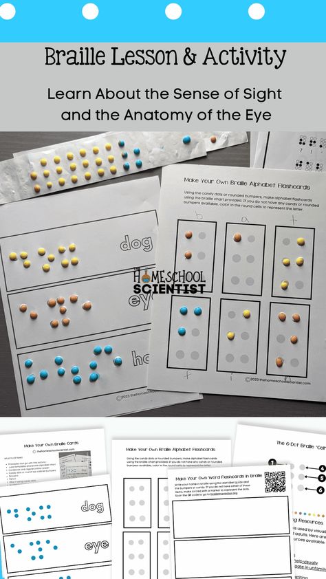 Braille Name Activity, Braille Alphabet Printable Free, Pre Braille Activities, Braille Activities For Kids, Cvi Resources, Braille Display, Braille Letters, Learning Braille, Braille Activities