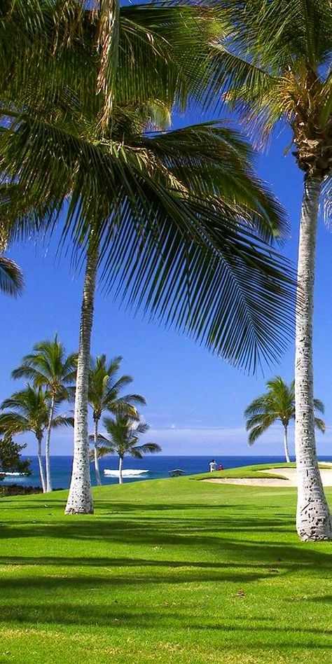 Teeing up on a gorgeous day at Waikoloa Beach Marriott Resort & Spa. ⛳🏌 --------------------- #hawaii #vacation #golf #golfing #travel #resort #getaway Hilton Waikoloa Village, Mauna Kea Beach Hotel, Big Island Travel, Moon Palace Cancun, Waikoloa Village, Wailea Beach, Golf Vacations, Marriott Resorts, Golf Trip