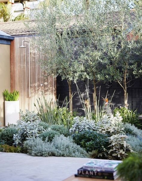 Australian Native Border Garden, Modern Mediterranean Landscape Design, Landscape Mediterranean Style, Australian Native Mediterranean Garden, Phormium Planting Schemes, Bougainvillea In Pots, Contemporary Native Garden, Australian Costal Garden, Modern Mediterranean Backyard