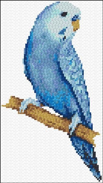 Free Cross Stitch Designs, Blue Parakeet, Stitch Blue, Embroidery Tips, Funny Cross Stitch Patterns, Cross Stitch Bird, Beaded Cross Stitch, Cross Stitch Funny, Cross Stitch Animals