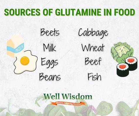 There are some foods that are a good source of glutamine for recovery that you might want to consider adding to a post-workout meal. If you want to add more glutamine to your diet, here are a few foods that contain this amino acid. Whey Protein Shakes, Post Workout Shake, Post Workout Protein, What Can I Eat, Intestinal Health, Workout Recovery, Quick Energy, Post Workout Snacks, Workout Muscle