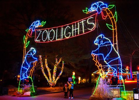 Jacksonville Zoo Lights Christmas Lights Iowa Road Trip, Zoo Lights, Beach Mom, Holiday Lights Display, Zoo Park, Christmas Getaways, Best Christmas Lights, Christmas Light Displays, Jacksonville Beach