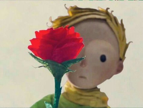 Little Prince Quotes, Childhood Movies, Favorite Movie, Little Prince, The Little Prince, Stop Motion, Movie Scenes, Beautiful Roses, Cute Wallpapers