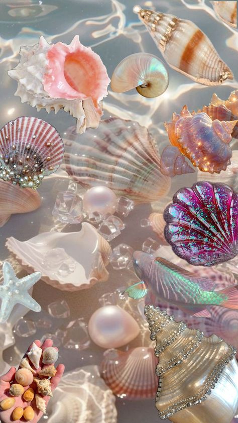 #sea #seashell #seashellaesthetic 🐚 Pink Seashells Aesthetic, Lara Core, Seashell Aesthetic, Pink Seashell, Mermaid Cosplay, Cellphone Wallpaper, Aphrodite, Under The Sea, Pretty Pictures