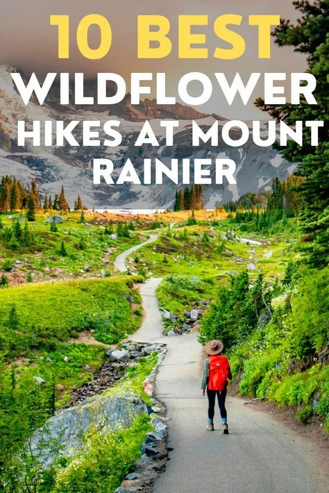 I've hiked 80% of the trails at Mt. Rainier National Park. Here are the 10 BEST Hikes for WILDFLOWERS!    #MTRAINIER #MTRAINIERNATIONALPARK #WILDFLOWERS #WILDFLOWERHIKES #BESTHIKES #WASHINGTON #NATIONALPARKS #AMERICA #SUMMER #MOUNTAINS Spray Park, Pacific Northwest Travel, Photography Inspiration Nature, Mt Rainier National Park, Washington Hikes, National Parks Map, National Park Photos, National Park Road Trip, Hiking Guide