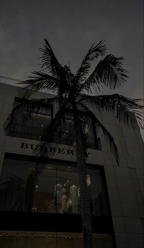 Burberry Wallpaper, Burberry Store, Cr7 Jr, Dark Modern, Sky Photography Nature, Random Pict, Neon Wallpaper, Luxury Wallpaper, Night Vibes