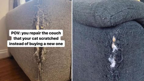 Pet owner’s before-and-after photos reveal a gorgeous way to fix scratched-up couches: ‘This is brilliant’ Couch Embroidery, Couch Repair, Crafts Painting, Couch Upholstery, Diy Sofa, Upcycle Recycle, Furniture Repair, Leather Couch, Dog Furniture