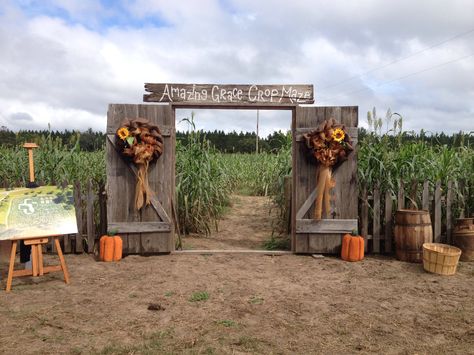 2014 #agcropmaze Sunflower Maze, Petting Zoo Ideas, Diy Halloween Party Games, Agritourism Farms, Pumpkin Face, Diy Halloween Party, Fall Decoration, Pumpkin Patch Farm, The O.c.