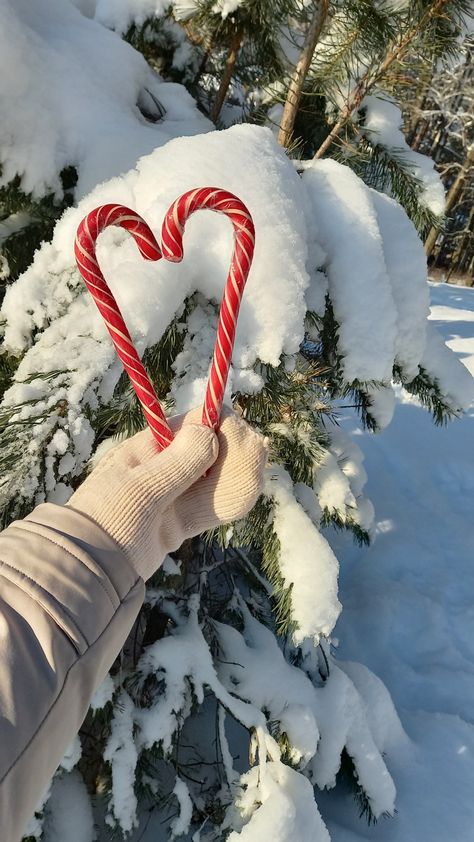 Red And White Christmas Aesthetic Wallpaper, Christmas Wallpaper Iphone Cute, Christmas Dreaming, Real Christmas, Christmas Feeling, Warm Christmas, Wallpaper Iphone Christmas, Christmas Wonderland, Christmas Tree Farm