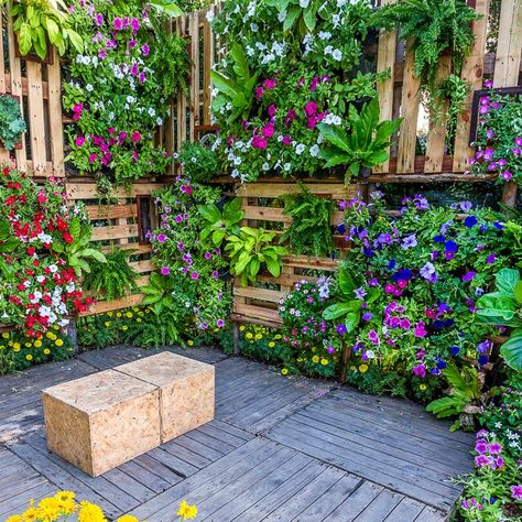 I love this outdoor vertical garden made from pallets! All of the flowers are so pretty! Click through to find more DIY vertical garden ideas. #fromhousetohome #verticalgarden  #backyardlandscaping Diy Vertical Garden, Vertical Pallet Garden, Vertical Garden Ideas, Vertical Garden Design, Vertical Garden Wall, Vertical Garden Diy, Walled Garden, Pallet Garden, Pallets Garden