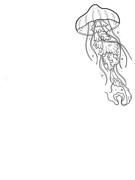 Jellyfish Tattoo Sketch, Jellyfish Line Drawing, Sea Creature Tattoo Ideas, Jellyfish Outline, Sea Creatures Drawing, Fish Outline, Marine Design, Whale Tattoos, Jellyfish Tattoo