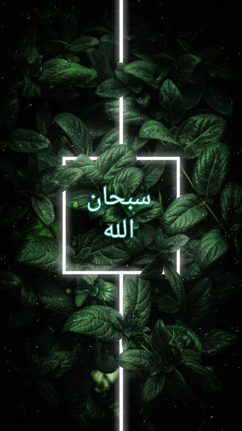 Aesthetic wallpaper Subhanallah islamic wallpaper Dark Green Islamic Wallpaper, Muslim Photos, Islamic Wallpapers, Islamic Wallpaper Iphone, Muslim Images, Comedian Quotes, Islamic Post, Allah Wallpaper, Ramadan Quotes