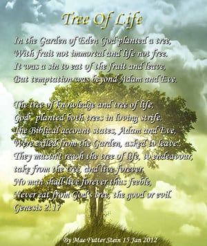 Family Tree Quotes Or Poems. QuotesGram Tree Poems, Tree Of Life Quotes, Family Tree Quotes, Tree Quotes, Family Poems, Quotes By Authors, Karma Quotes, Adam And Eve, Famous Quotes