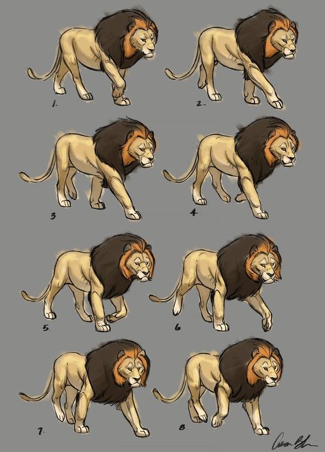 Matches Wallpaper, Cartoon Sketch Drawing, Walk Animation, Aaron Blaise, Key Drawings, Walk Cycle, Avengers Cartoon, Animal Movement, Lion Drawing