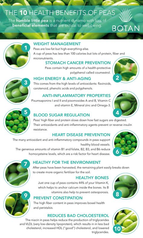 Experience the pea power with Botan! #healthybynature #health #nutrition #nutritionfacts #peas #veggies #greens #workout #infography   http://drinkbotan.com/ Snap Peas Benefits, Health Benefits Of Peas, Pea Protein Benefits, Peas Nutrition Facts, Peas Health Benefits, Green Peas Benefits, Benefits Of Peas, Nutritional Healing, Iron Absorption