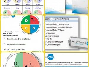 DiSC activities for teams | DiSC Profiles Disc Assessment Activities, Disc Activities, Disc Assessment, Team Morale, Training Activities, Disc Style, Train Activities, Activity Ideas, Pie Chart