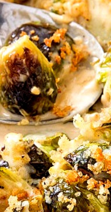 Brussel Sprout Gratin Recipes, Brussels Sprout Gratin, Brussels Gratin, Brussel Sprout Gratin, Brussel Sprouts Gratin, Brussel Sprouts Au Gratin, Brussels Spouts, Brussels Sprouts Gratin, Cooks Illustrated Recipes