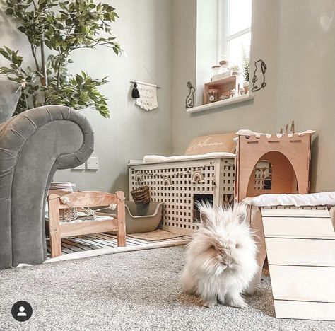 Bunny Free Roam Area, Rabbit Free Roam Area, House Rabbit Setup Ideas, Free Roam Rabbit Set Up, Rabbit Set Up Indoor, Bunny Set Up Indoor Cute, Bunny Room Indoor Rabbit, Free Roam Bunny Set Up, Free Roam Bunny