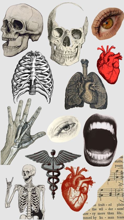 Collage Images Free Printables, Cutouts For Collage, Collaging Ideas, Scrapbook Printouts, Halloween Printouts, Goth Scrapbook, Free Png Stickers, Chaotic Collage, Journal Printouts