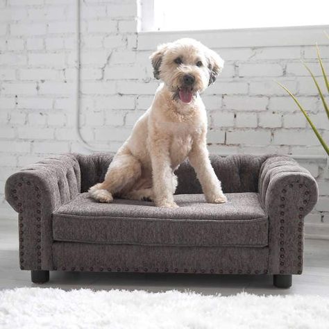 La-Z-Boy Newton Pet Sofa | Costco Chesterfield Style Sofa, Mini Couch, Boys Furniture, Dog Sofa Bed, Pet Sofa, La Z Boy, Dog Bed Large, Dog Sofa, Dog Furniture