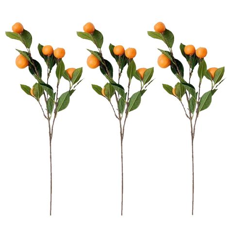 PRICES MAY VARY. Title: Comanlai 3pcs Artificial Tangerine Branches, Simulation Orange Branch, Kumquat Tangerine Branch Lifelike Fake Fruit Props with Green Leaves for Decorative Fruit Flower Arrangement Photography Props. Product Type: Categories > Home Décor Products > Artificial Plants & Flowers > Artificial Fruit Artificial Tree Branches, Lemon Centerpieces, Tree Stem, Fruits Decoration, Fruit Orange, Fake Fruit, Artificial Fruit, Flower Vase Arrangements, Trendy Tree