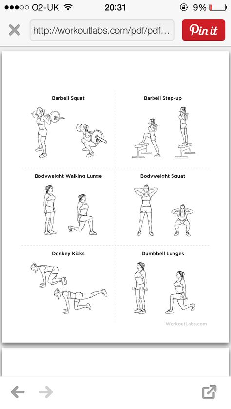 Squat types 2 Squat Types Different, Squat Types, Step Up, Walking