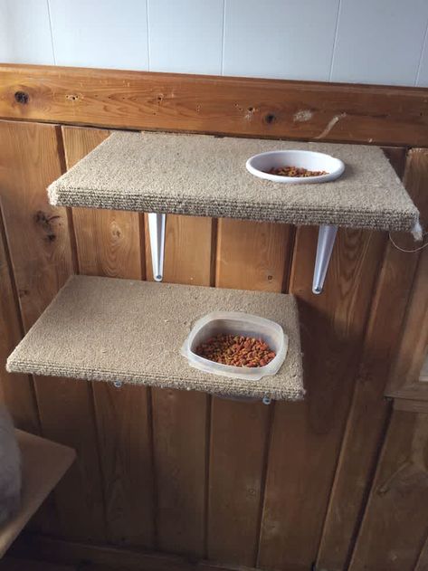 Diy Cat Hammock, Diy Cat Food, Katt Diy, Diy Chat, Katt Grejer, Chat Diy, Cat Scratching Tree, Gatos Cool, Cat Fence