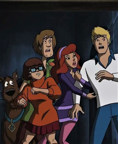 Scooby Doo Aesthetic, Daphne From Scooby Doo, What's New Scooby Doo, Mystery Gang, Mystery Incorporated, Scooby Doo Pictures, Scooby Doo Mystery Inc, Scooby Doo Movie, Scooby Doo Images