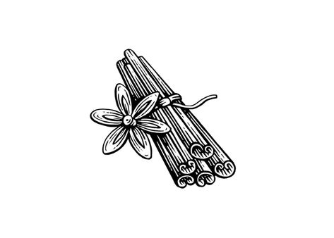 Copyrighted Cinnamon Sticks Woodcut Stock Illustration by Steven Noble Steven Noble, Herbs Illustration, Stick Tattoo, Stick Poke Tattoo, Jp Morgan, Witch Tattoo, Tattoo Design Book, Poke Tattoo, Stick And Poke