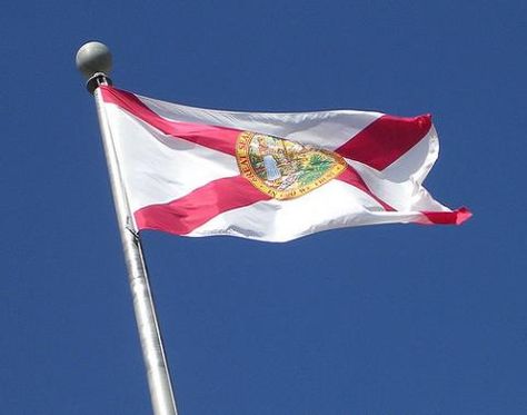 Flag of Florida Florida State Flag, Florida Pictures, Florida Flag, Florida Water, State Symbols, U.s. States, State Of Florida, State Flags, Florida State