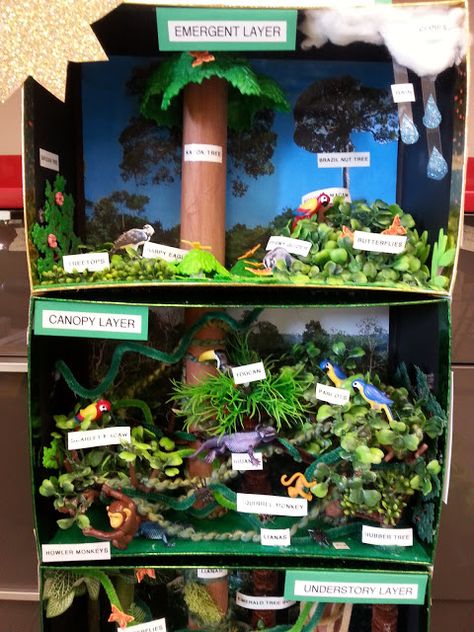 Rainforest Crafts For Kids, Rain Forest Diorama, Ecosystems Diorama, Flamingo Facts, Rainforest Crafts, Biomes Project, Rainforest Project, Rainforest Activities, Rainforest Biome