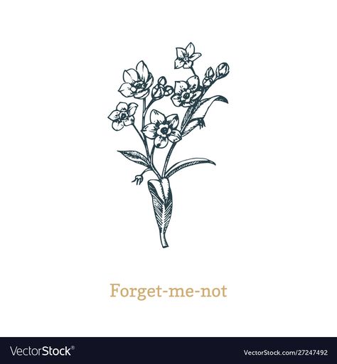 Forget Me Not Flowers Drawing Black And White, Forget Me Not Sketch, Cohesive Tattoos, Forget Me Not Illustration, Forget Me Not Drawing, 2023 Nursery, Ink Practice, Flower Logos, Tatts Ideas