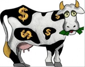 Dystopias are today's YA cash cows. Pictures Of Cows, Office Redo, Matched Betting, Cash Cow, Flappy Bird, Popular Authors, Money Magnet, Best Kept Secret, New Energy