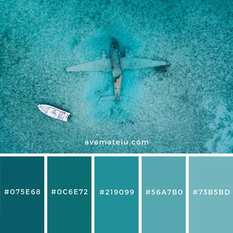 Color Palettes – Ave Mateiu Color Calipso, Apartment Color Schemes, Wave Illustration, Hex Color Palette, Muse Art, Find Color, Colour Schemes, Color Pallets, Pantone Color