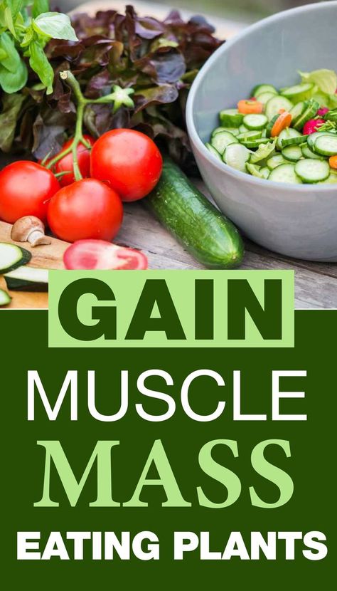 Vegan Bodybuilding Diet, Vegan Bodybuilder, Green Diet, Bodybuilding Tips, Vegan Gains, Diet Diary, Best Vegan Protein, Vegan Muscle, Weight Gain Diet