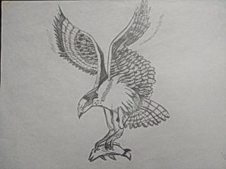 Fish Eagle Tattoo, Fish Eagle, Polish Eagle, Eagle Claw, Fish Tattoo, Eagle Tattoo, Fish Drawings, An Eagle, Fish Tattoos