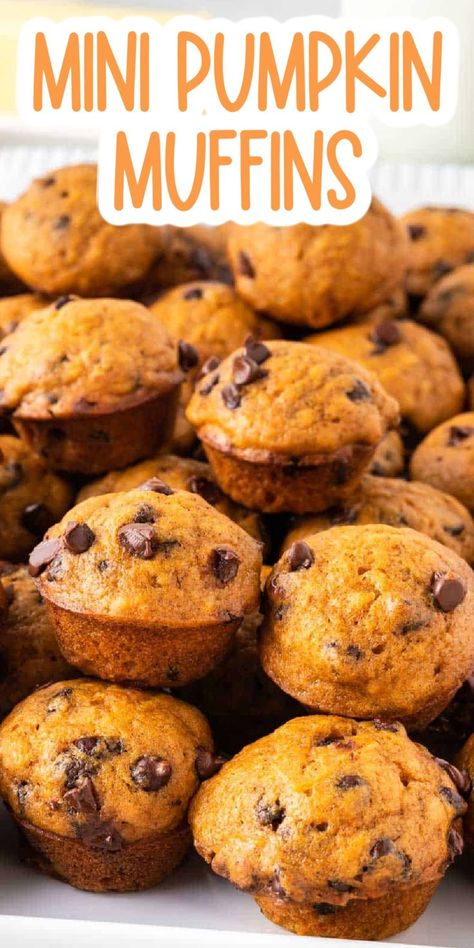 Pumpkin Bread Mini Muffins, Skinnytaste Mini Pumpkin Chocolate Chip Muffins, Pumpkin Oat Mini Muffins, Pumpkin Muffins Mini, Banana Pumpkin Mini Muffins, Mini Fall Desserts Treats, Mini Muffins Breakfast, Muffin Recipes Mini, Holiday Mini Muffins