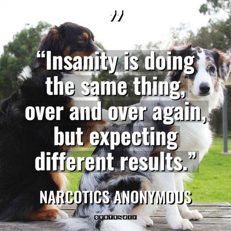 “Insanity is doing the same thing, over and over again, but expecting different results.”... Narcotics Anonymous #humor #humorquotes #NarcoticsAnonymous #quotes #pinterestinspiration #morningquotes #positivevibes #pinterestquotes Narcotics Anonymous Humor, Narcotics Anonymous Quotes, Anonymous Quotes, Narcotics Anonymous, Humor Quotes, Morning Quotes, Funny Quotes, Humor, Quotes