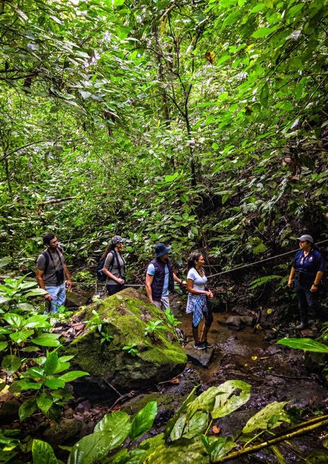 Hiking in Panama | Mountain, Rainforest & Beach Hiking Trails Coiba, Waterfall Trail, Hiking Spots, Panama Canal, Santa Catalina, Natural Park, Caribbean Sea, Panama City, Panama City Panama