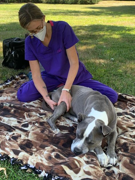 All About Dog Massage – Dogster Dog Massage, Irritable Bowel Disease, Emotional Support Dog, Pet Blog, Getting A Massage, Hiking Dogs, Therapeutic Massage, Dog Health Care, A Massage