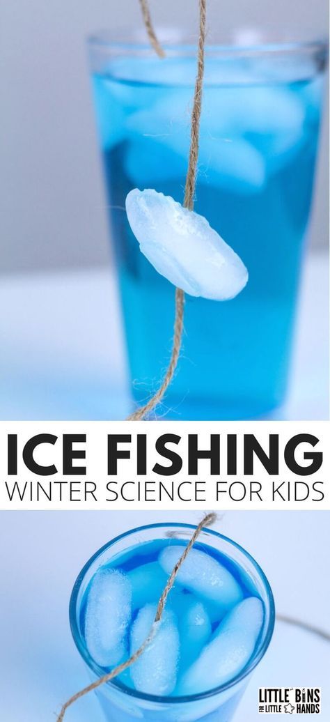 Winter Science Projects, Winter Science Activities, Winter Science Experiments, Winter Science, Science Experiment For Kids, Experiments Kids, Experiment For Kids, Science Experiments For Preschoolers, Winter Activities For Kids