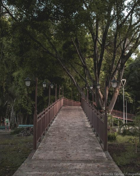 Puente Parque La Loma en Tepic Nayarit México Fotografía: Priscila Gómez Mexico Destinations, Arch, Vision Board, Instagram