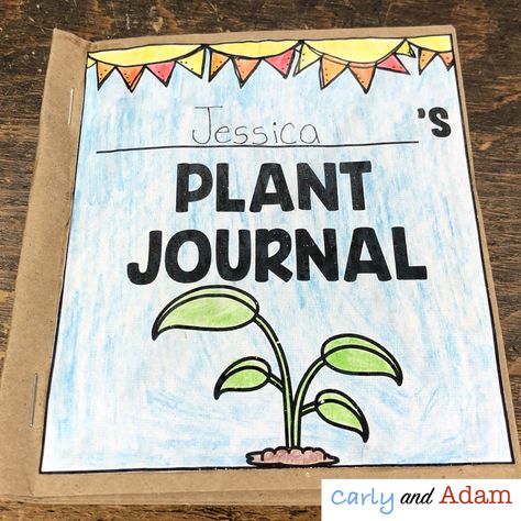 Growing Plants in the Classroom Needs Of Plants, Plant Classroom, Teaching Plants, Spring Lesson Plans, Plants Kindergarten, Plant Lessons, Spring Lessons, Preschool Garden, Planting For Kids